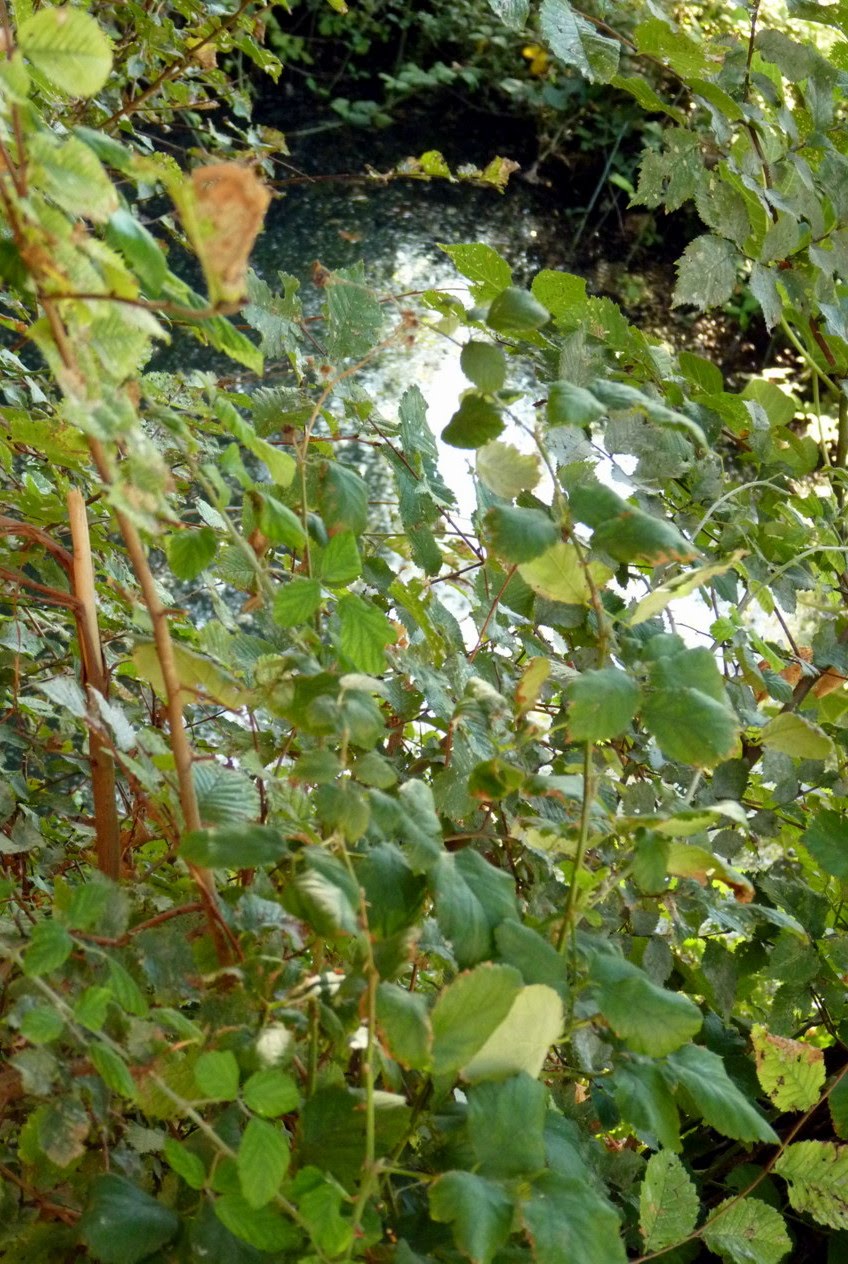 [P1020153.JPG]