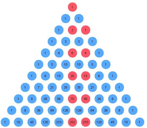 The value of the first 30 Catalan numbers