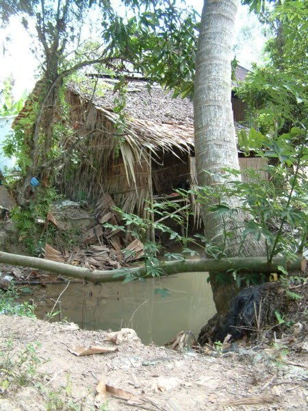 [DSCF0136.JPG]