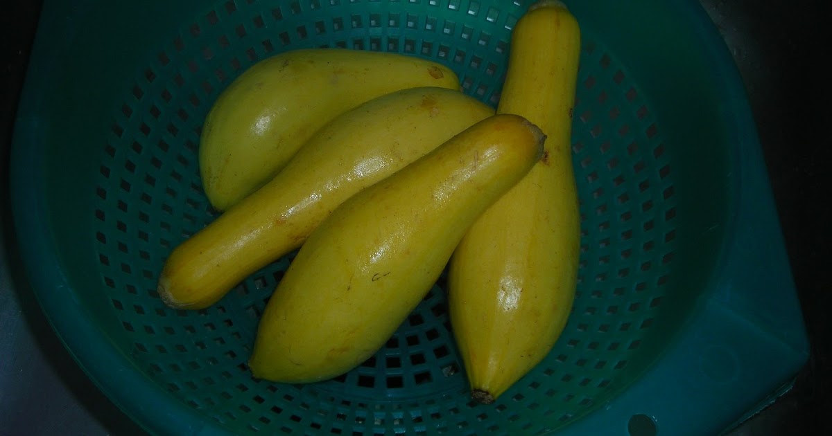 Cooking with Christen Yellow Squash Puree Baby Food