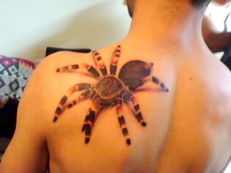p tribal half sleeve maori spider web tattoo designs art of my back,