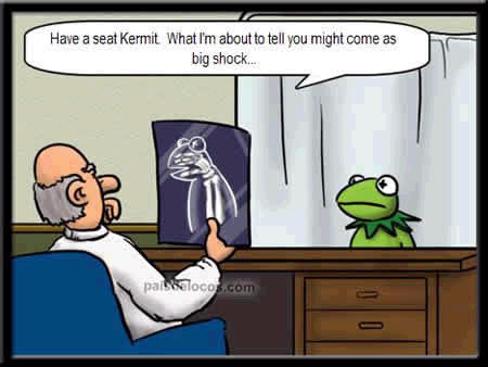 [kermit_x-ray.jpg]