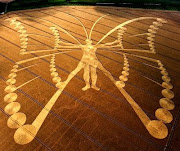dans MAYAS Netherlands_Butterfly_Metamorphosis_Transformation_Crop_Circle