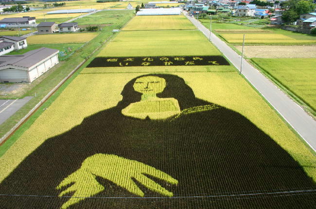 [field_art_cool_1.jpg]