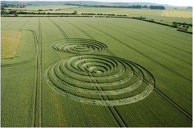 Kia Seen OnCool crop 'art' circles from around the world www.coolpicturegallery.us