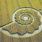 gambar crop circle, foto crop circle, alien, ufo, lingkaran tanaman, www.digaleri.com