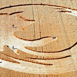 gambar crop circle, foto crop circle, alien, ufo, lingkaran tanaman, www.digaleri.com