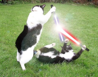 LOL Cats :3 Light+sabre+cats+2