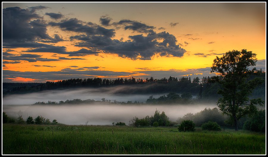 [misty+fields.jpg]