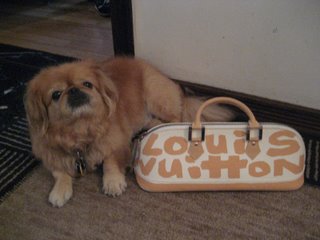 [dogandbag.JPG]