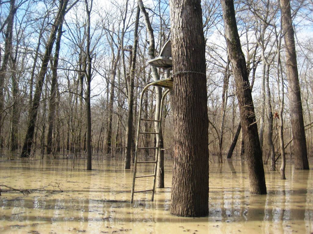 my pics, vids & bucketlist_kirkjross Deer Hunting Sharkey County, MS