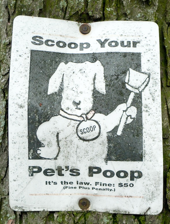 cartoon dog poop. scooping his poop, Another