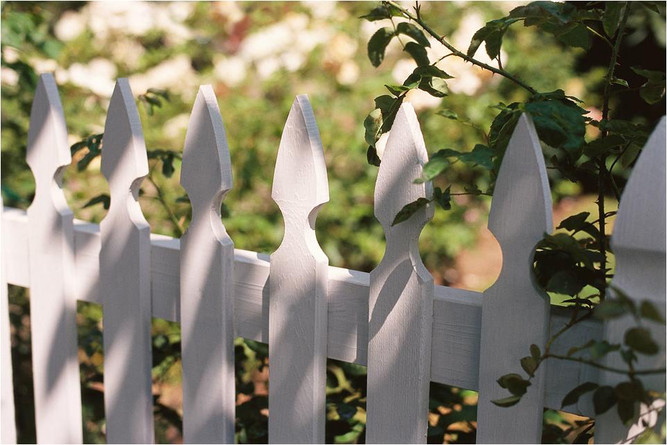 Epitome Who Owns the Fence?