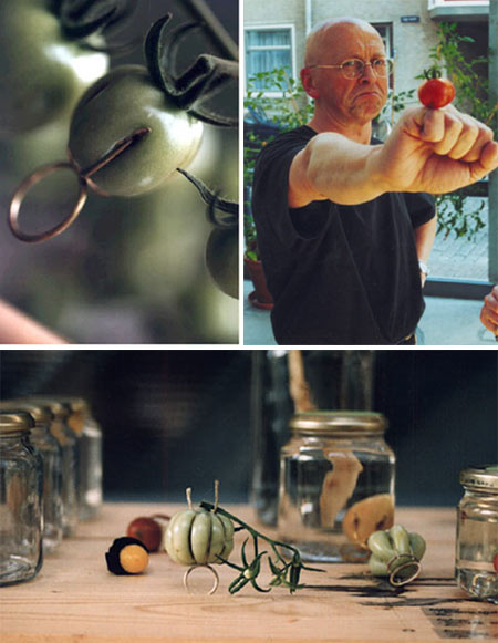 [hild+dedecker+organic+ring.jpg]