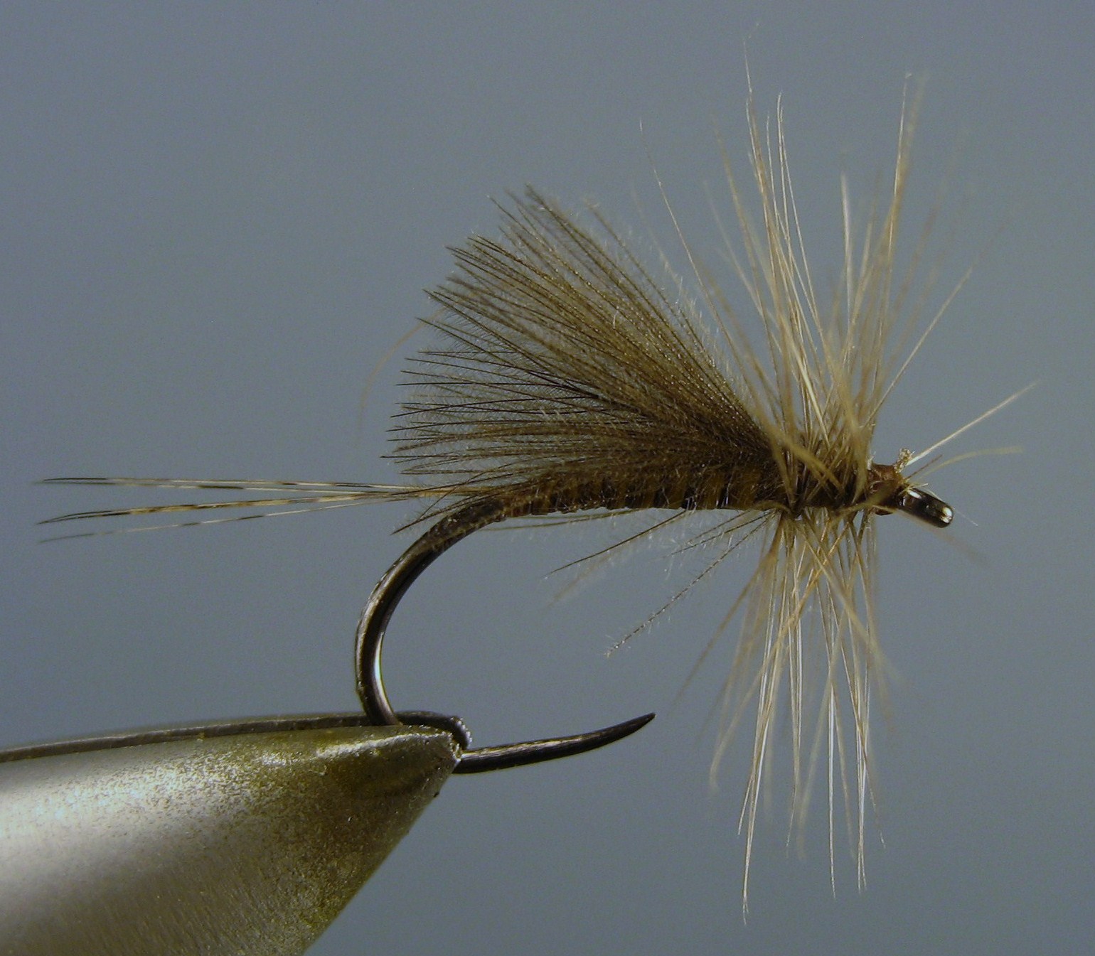 ityeflies November 2010