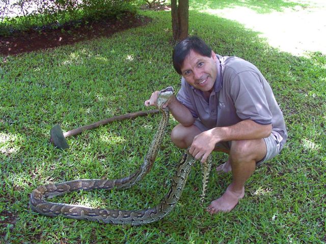[python.jpg]