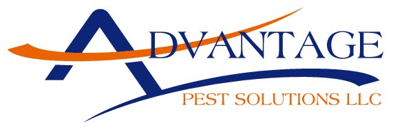 pest solutions