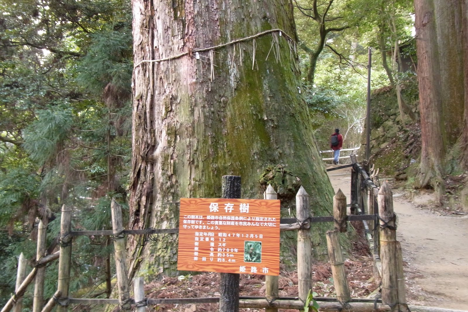 [RIMG0130.JPG]