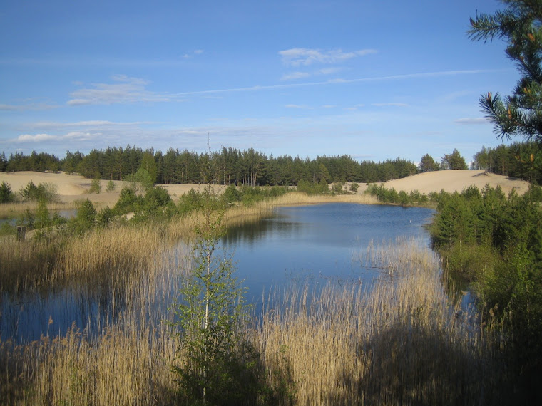 discovering Estonian beautiful nature