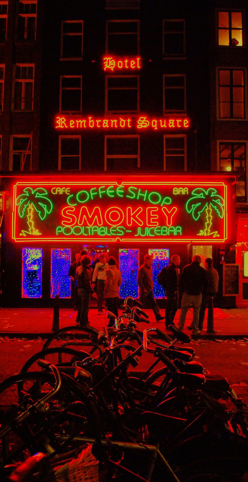[DSC_0272.JPG]