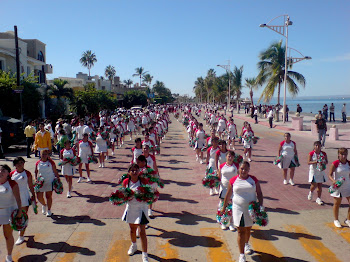 Desfile 20 nov 2008 Normal Superior