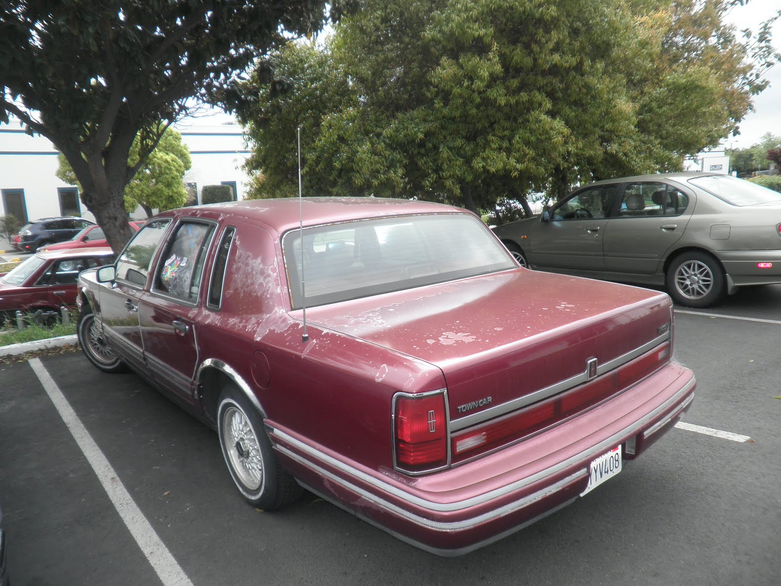 Auto BodyCollision RepairCar Paint in FremontHaywardUnion CitySan Francisco Bay Car of the