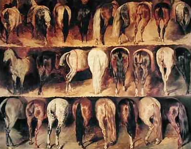 horses+hindquarters.jpg
