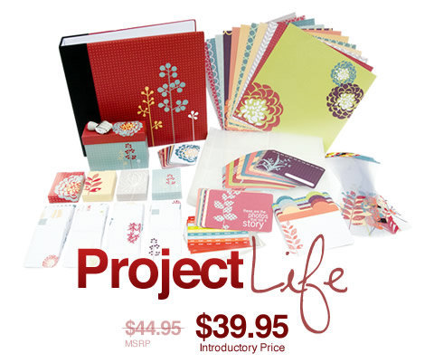 [project-life-shopify_large.jpg]