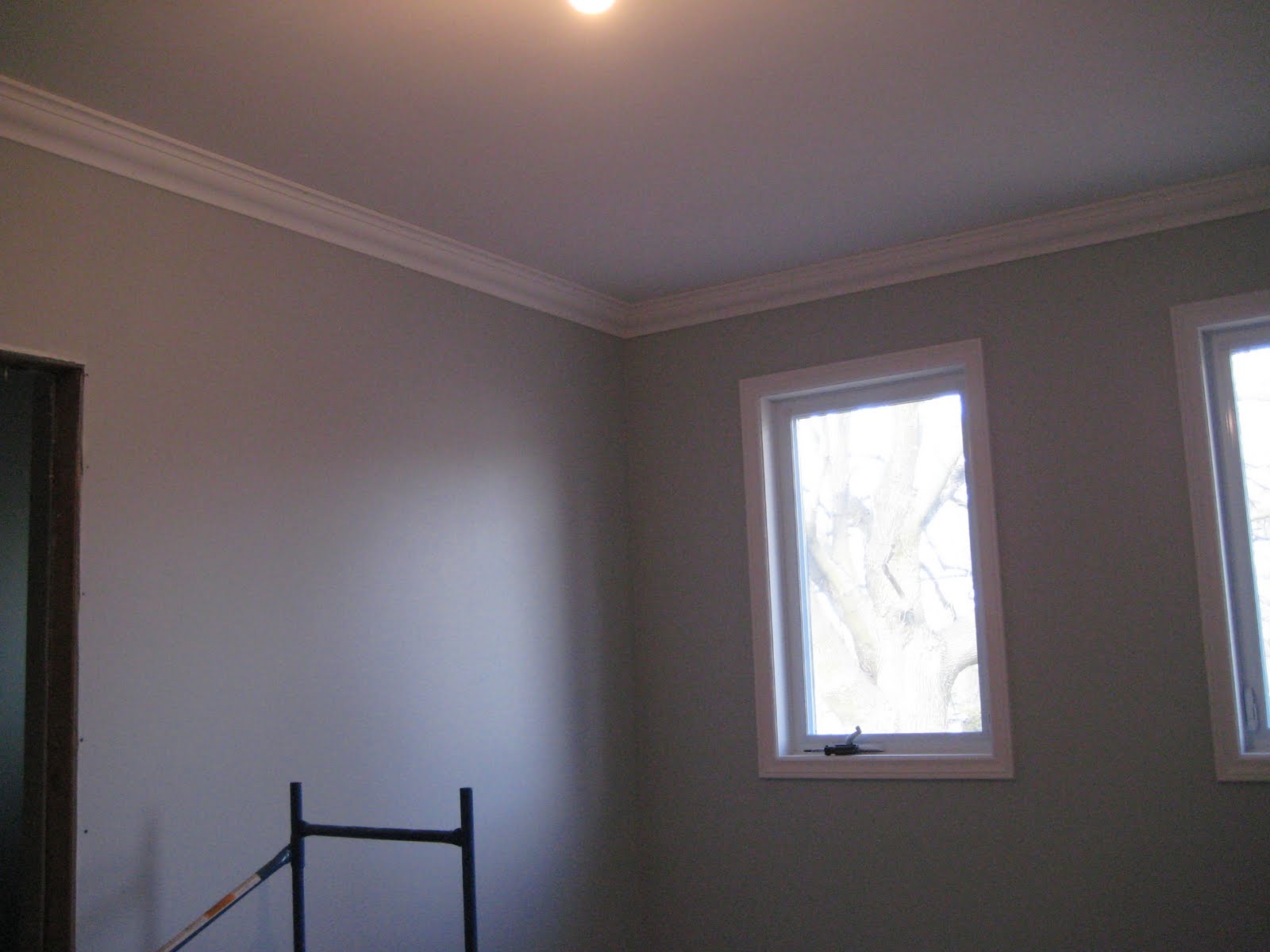 Pink Gerberas Third renovation Addition