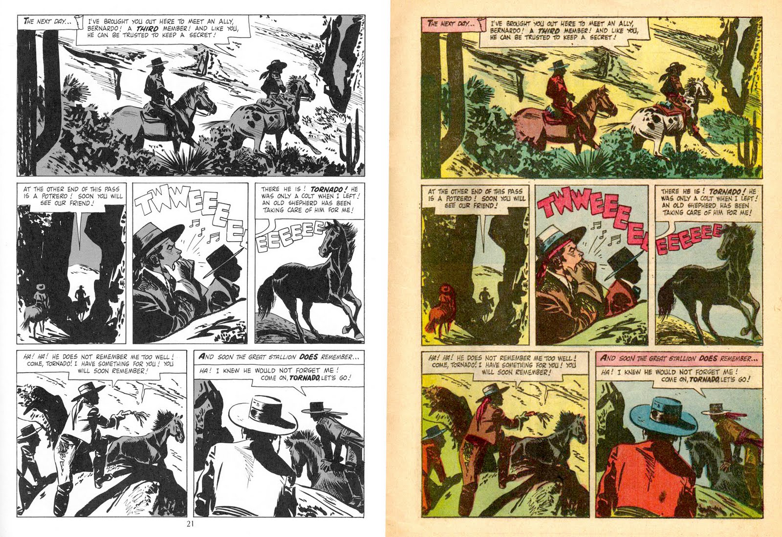 [TOTH-ZORRO011.jpg]