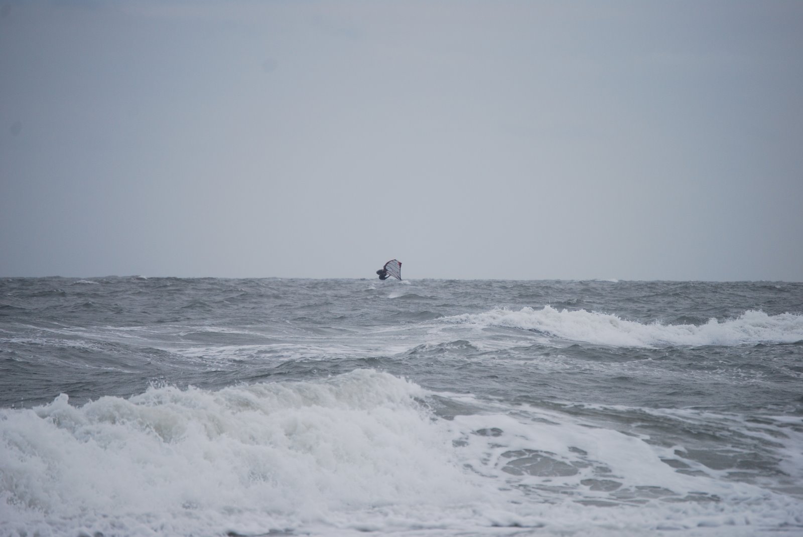 [DSC_0204.JPG]