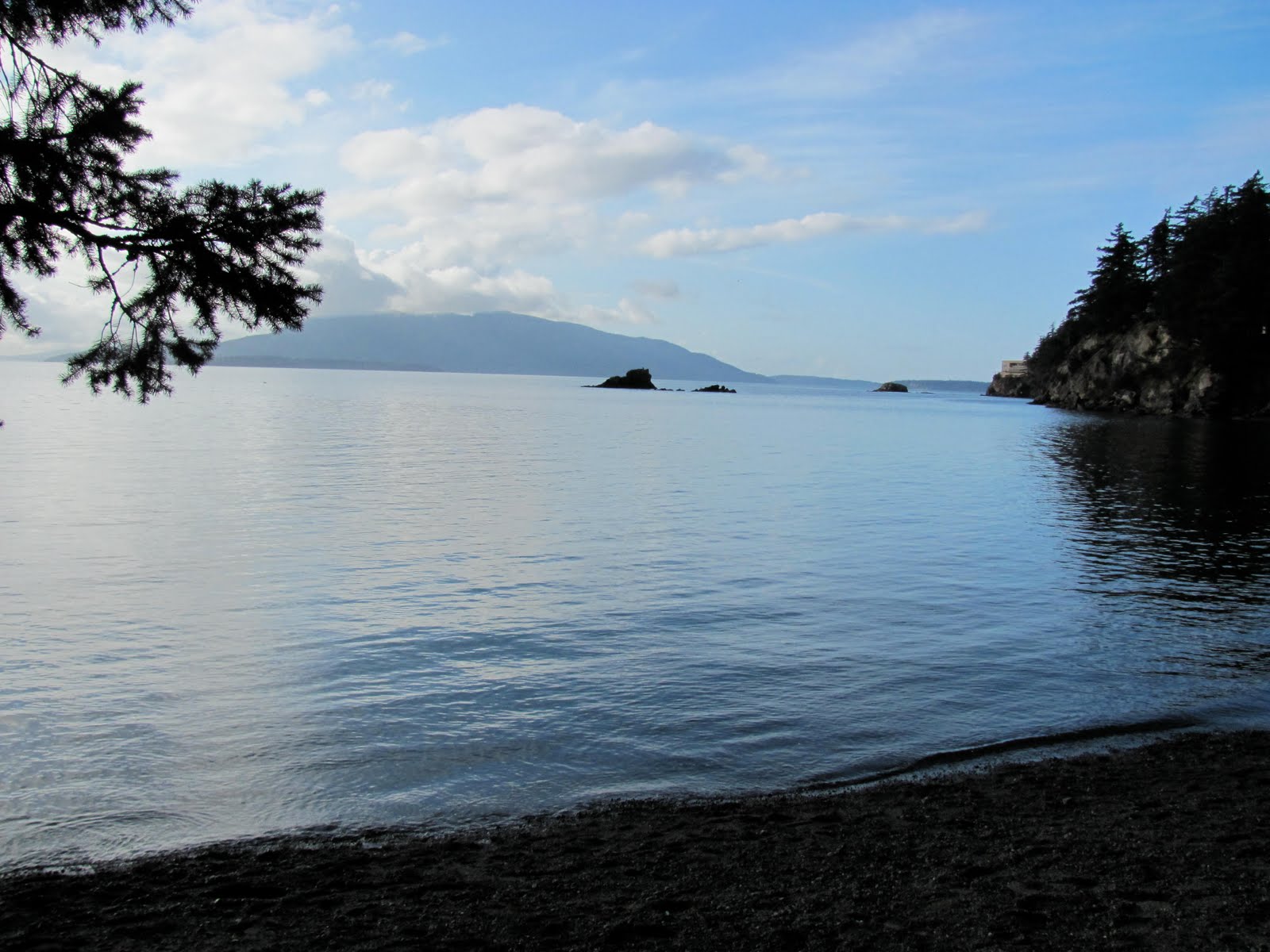 [IMG_0538.JPG]