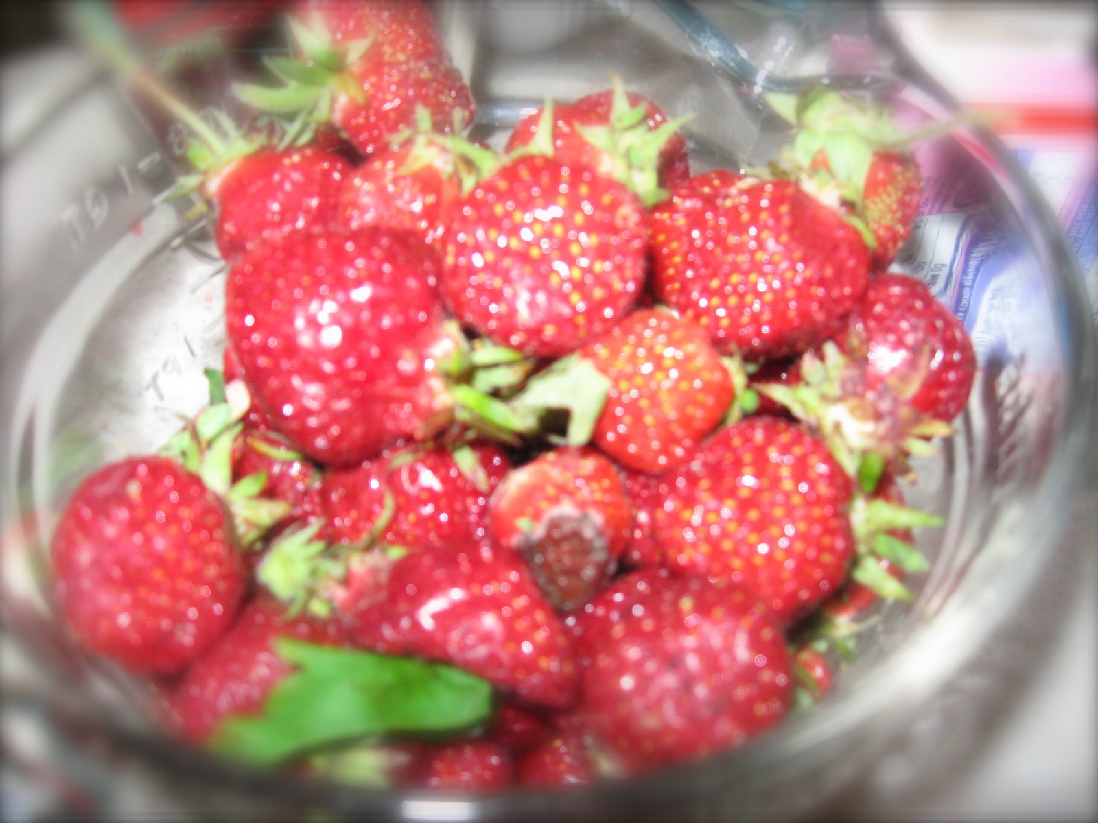 [IMG_2855.JPG]