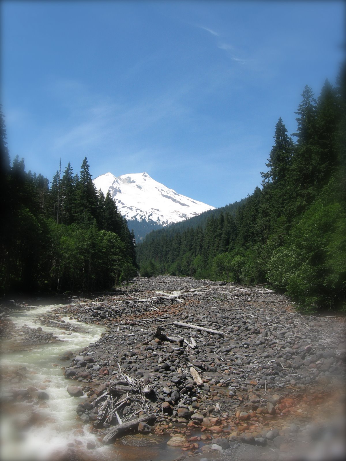 [IMG_2931.JPG]