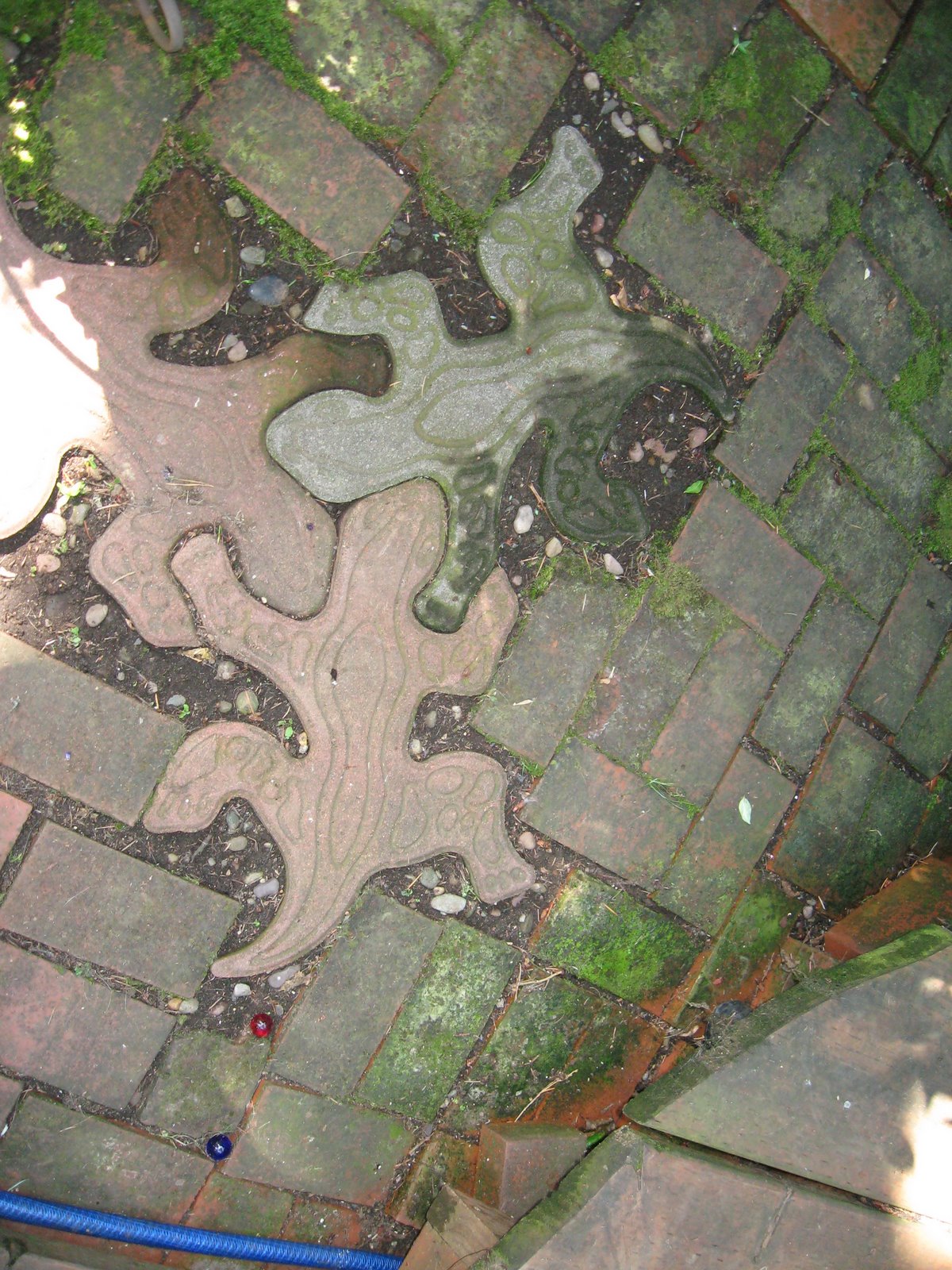 [IMG_3153.JPG]