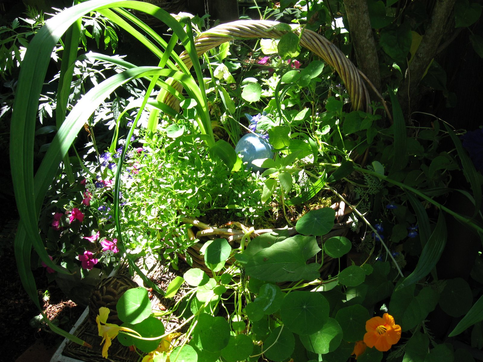 [IMG_3147.JPG]