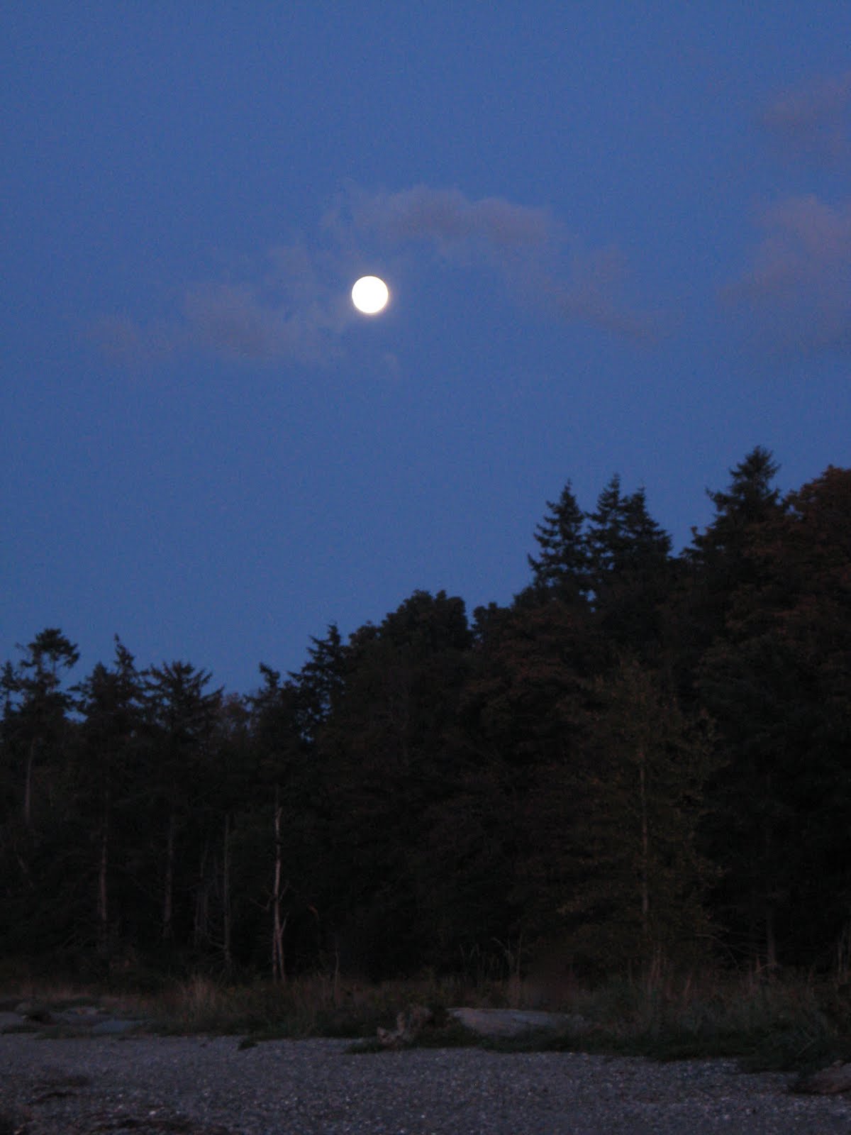 [IMG_4152.JPG]