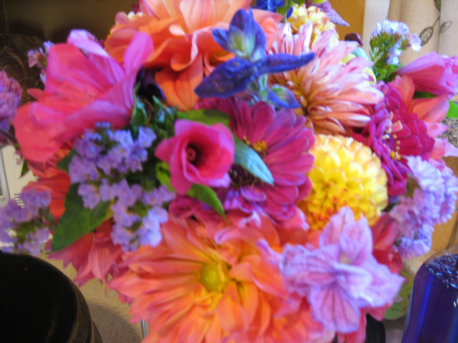 [IMG_4197.JPG]