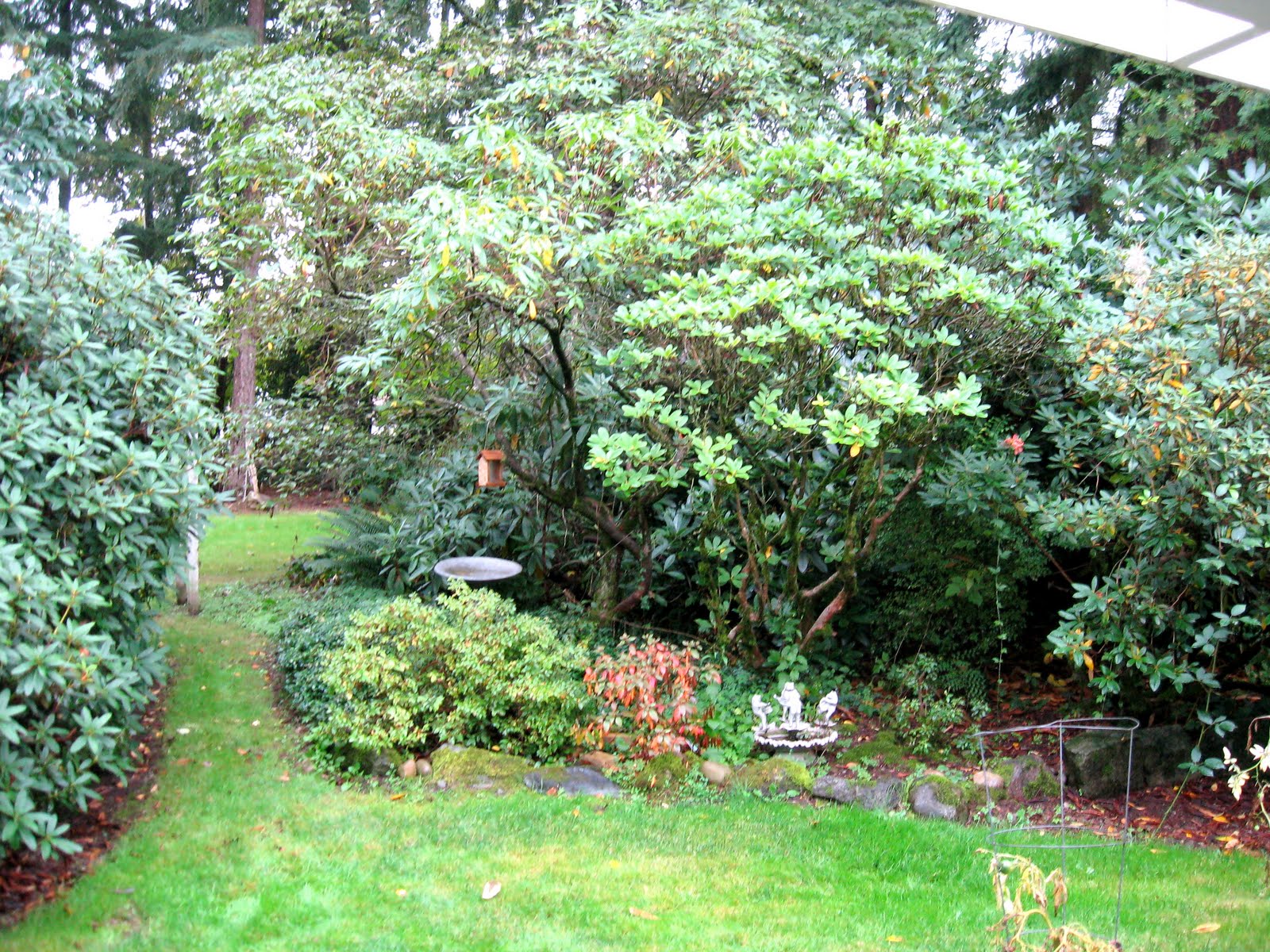 [IMG_4225.JPG]