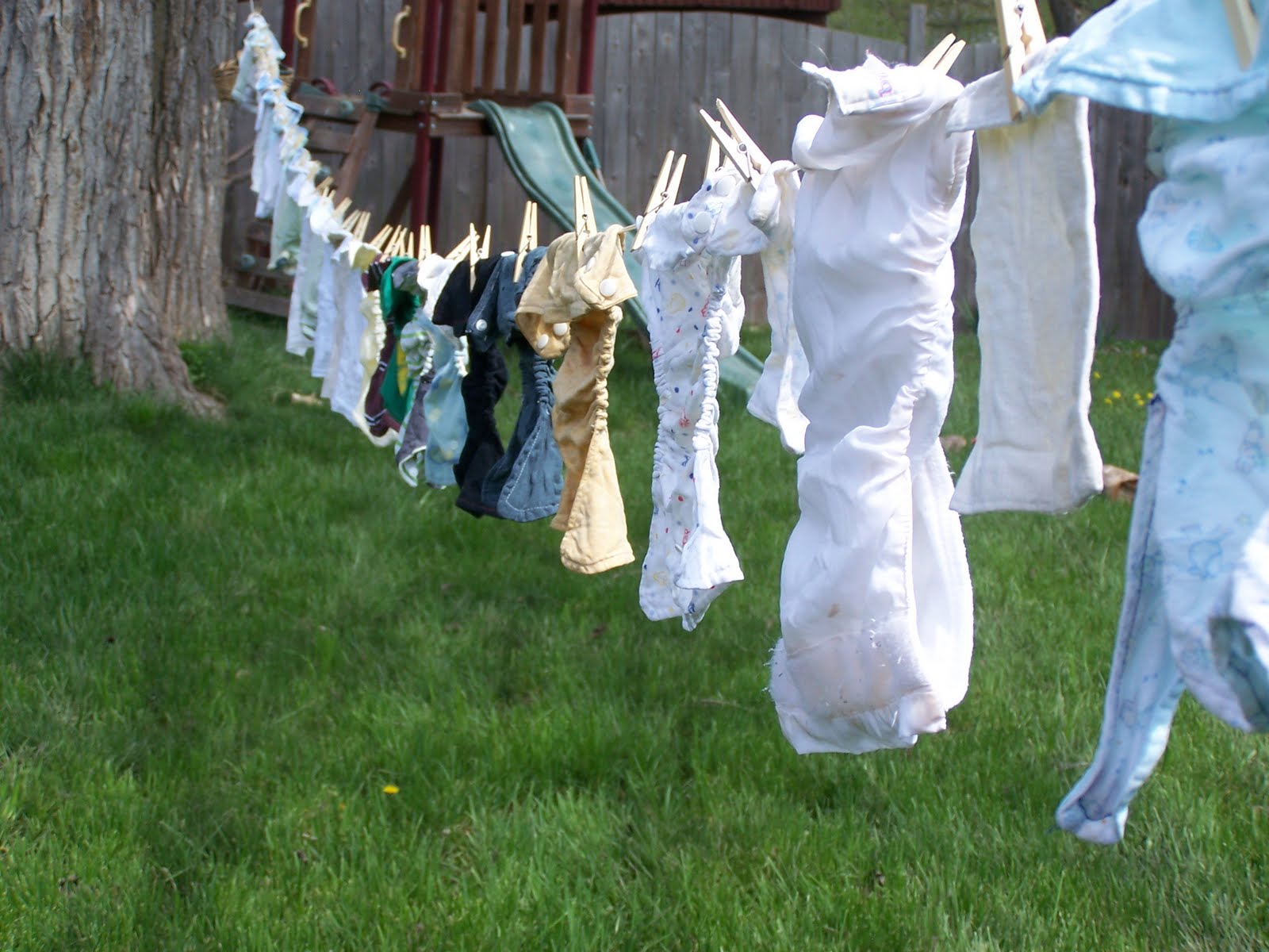 A Bird in the Hand Laundry Detergent