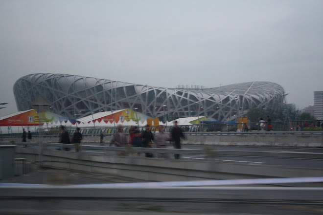 2008 Olympic bird nest