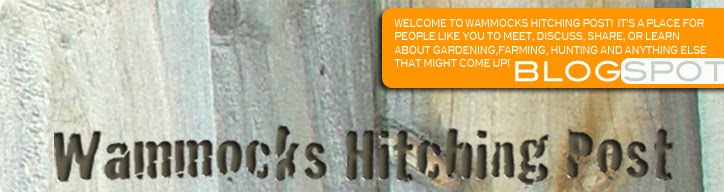 Wammocks Hitching Post