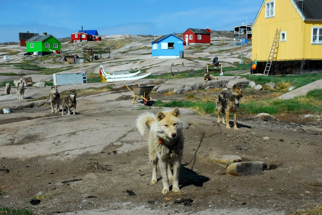 perros de rodebay