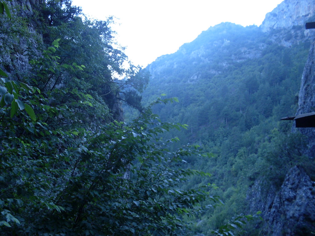 [SDC13109.JPG]