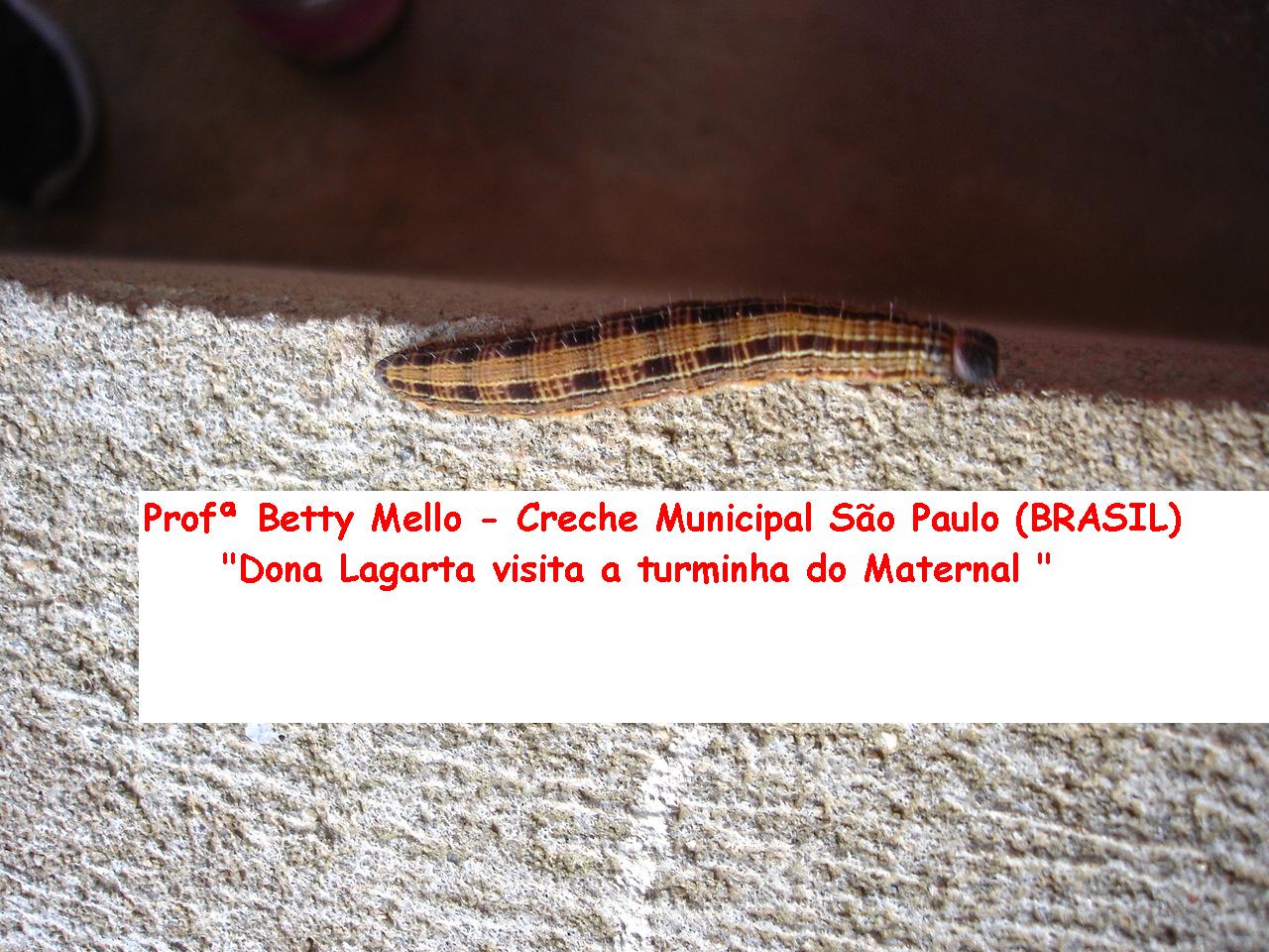 [D.+Lagarta+md.JPG]
