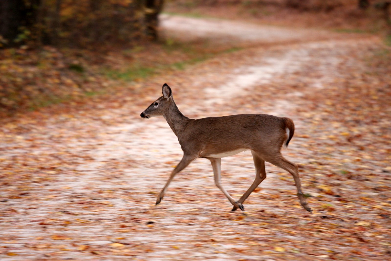 [2007-11-17+1630261.JPG]