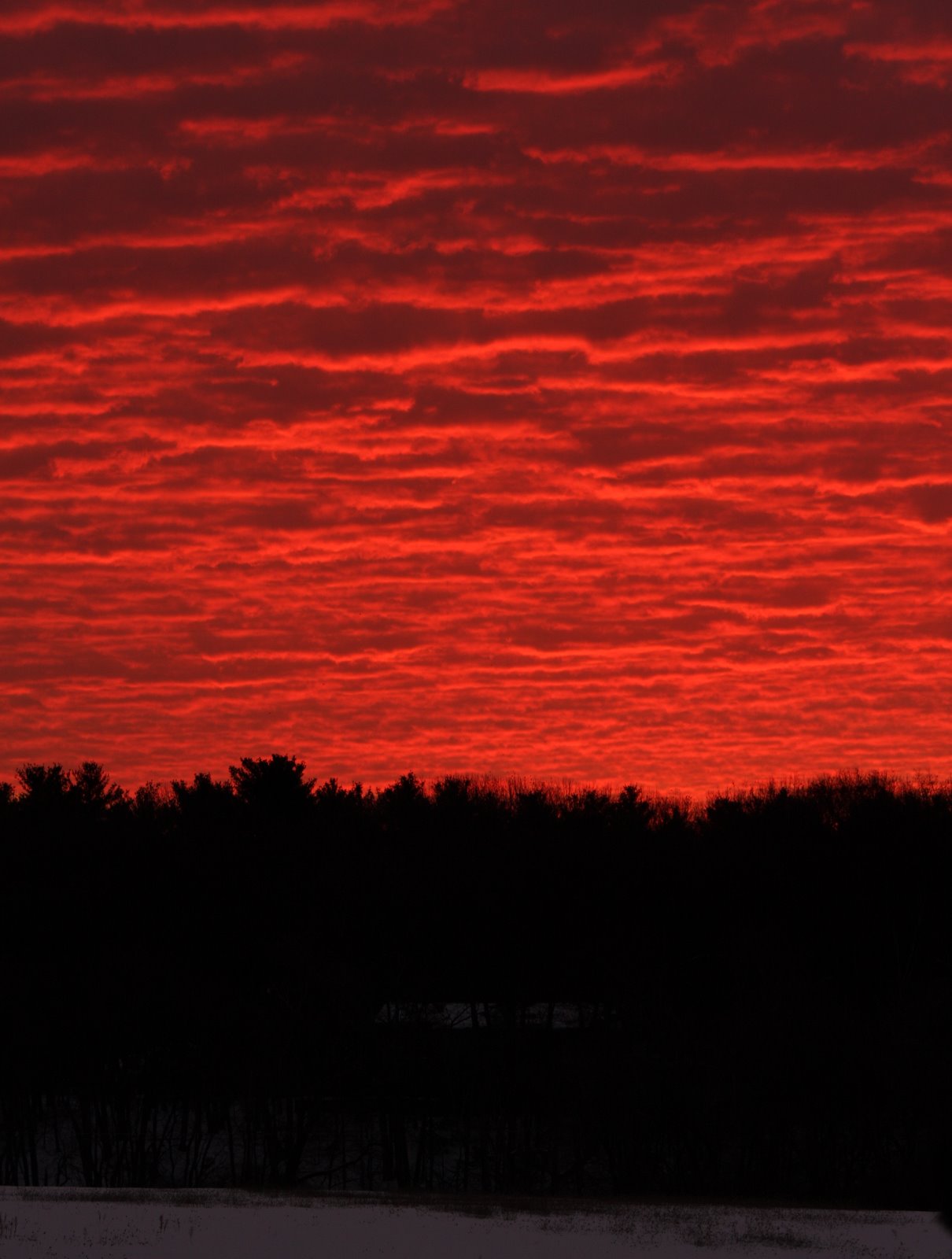 [2008-01-05+0705585.JPG]