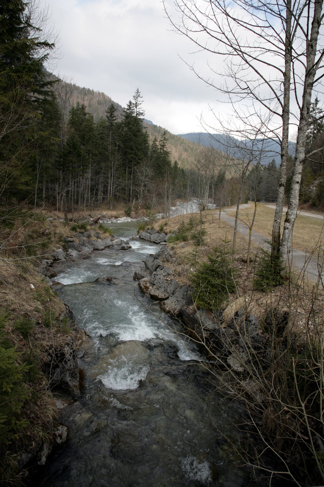 [2007-03-07+032240+8.JPG]