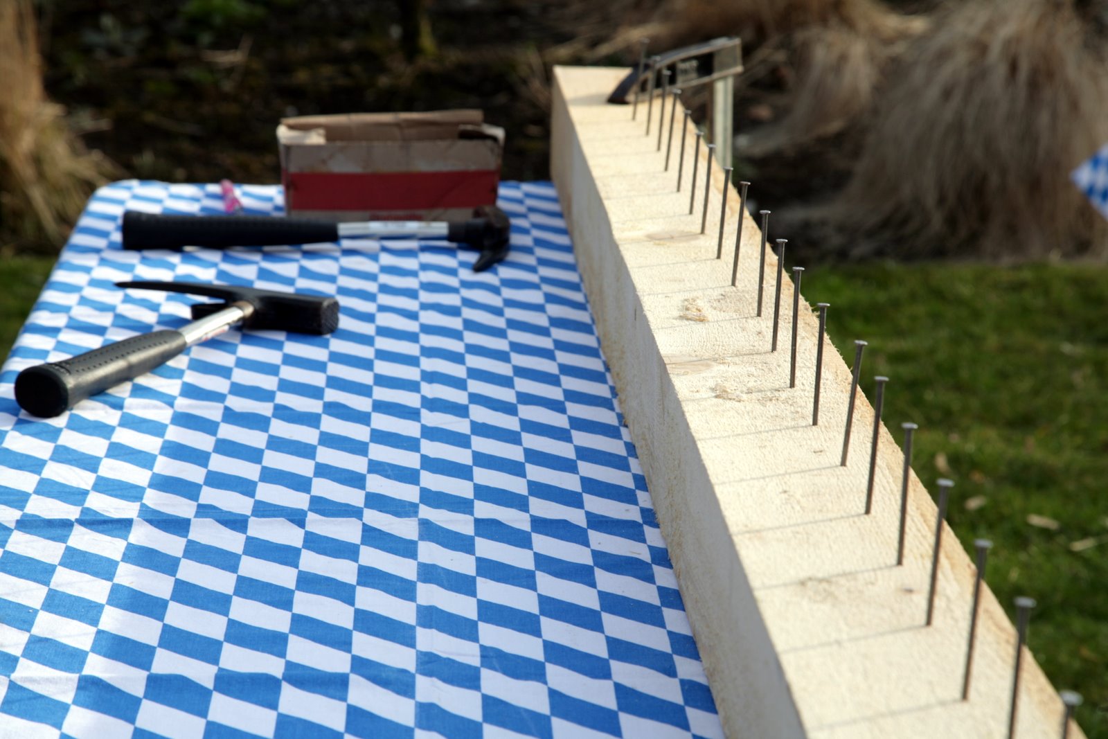 [2007-03-06+101704+0.JPG]