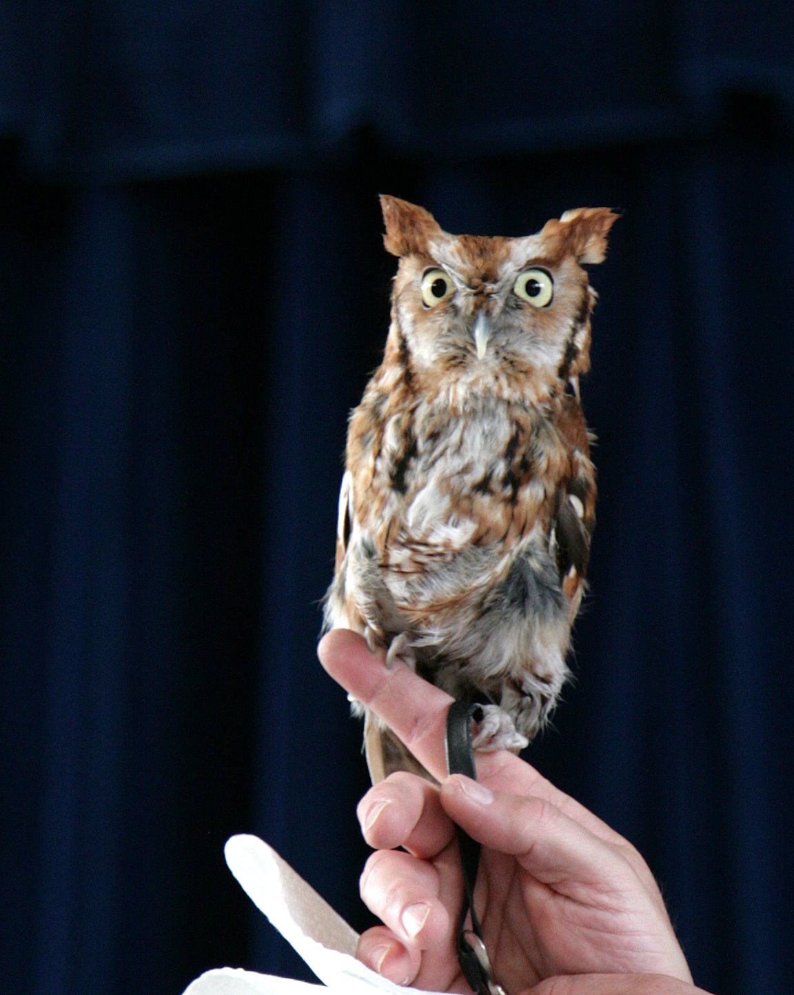 [2007-04-01+153614+1.JPG]